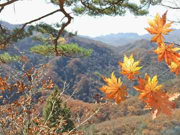 歷史上的12月4日信達天御樓盤熱門備案價概覽，回顧與展望