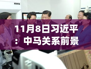 11月8日習近平：中馬關系前景光明 未來可期，11月8日習近平主席談中馬關系，未來光明，前景可期