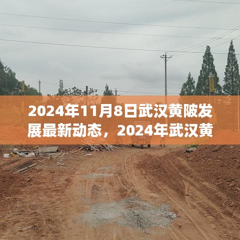 2024年武漢黃陂發(fā)展最新動(dòng)態(tài)探索，融入?yún)^(qū)域發(fā)展大潮的步伐