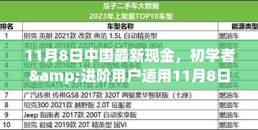 初學(xué)者與進(jìn)階用戶指南，11月8日中國最新現(xiàn)金操作指南及任務(wù)完成步驟詳解