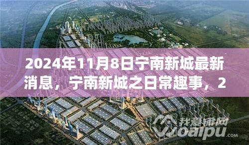 寧南新城日常趣事與陽光溫情，2024年11月8日最新消息