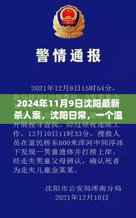 沈陽殺人案背后的友情與陪伴故事，日常溫馨背后的真相（2024年）