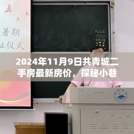 2024年共青城二手房最新房價(jià)揭秘，小巷特色小店探秘