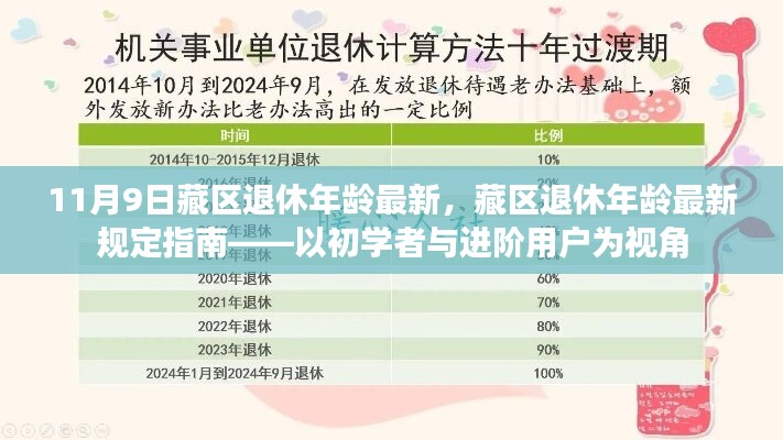 藏區(qū)退休年齡最新規(guī)定指南，從初學(xué)者到進階用戶的視角解析（11月9日更新）