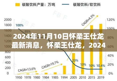 懷柔王仕龍最新動態(tài)與深遠影響力揭曉，2024年11月10日更新