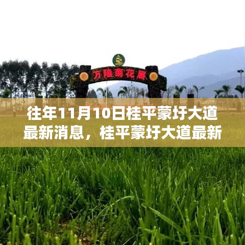 桂平蒙圩大道最新動(dòng)態(tài)獲取全攻略，輕松掌握最新消息動(dòng)態(tài)