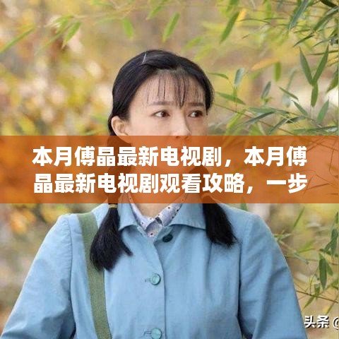 本月傅晶最新電視劇觀(guān)看指南，輕松追劇的攻略與步驟解析