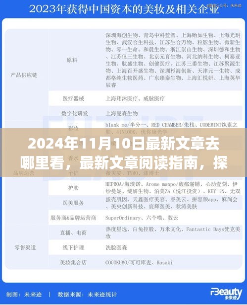 探尋最新文章閱讀指南，揭秘2024年11月10日的精彩內(nèi)容