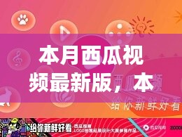 本月西瓜視頻最新版，全新體驗(yàn)與功能升級(jí)指南