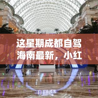 小紅書爆款！成都自駕海南極致之旅最新攻略來襲