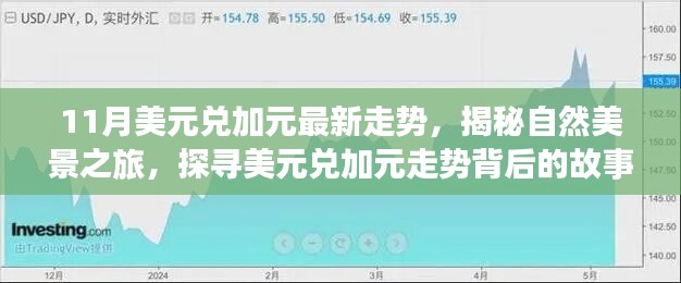 揭秘美元兌加元走勢背后的故事，自然美景之旅啟程，探尋內心的寧靜與平和之旅