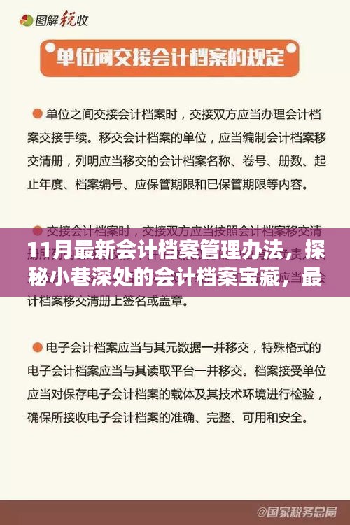 探秘最新會計檔案管理辦法，小巷深處的寶藏與獨特故事揭秘