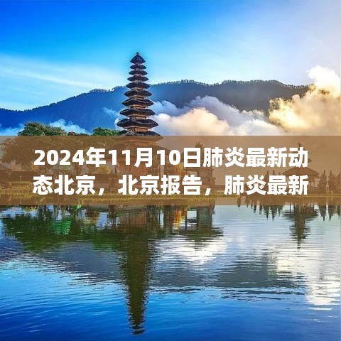 北京肺炎最新動(dòng)態(tài)深度觀察，報(bào)告與影響，2024年11月10日最新進(jìn)展