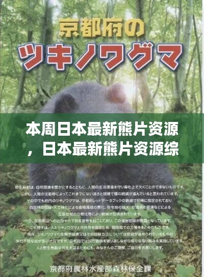 日本最新熊片資源綜述，背景、進展與特定領域地位探討