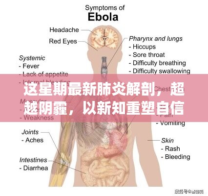 超越陰霾，最新肺炎解剖啟示錄，重塑信心與新知的探索