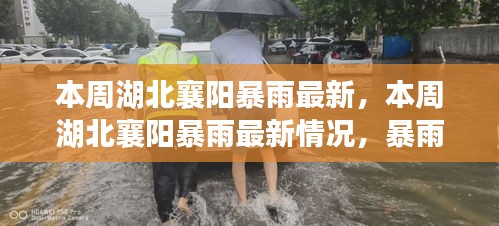 湖北襄陽(yáng)本周暴雨最新情況，影響、應(yīng)對(duì)措施全解析