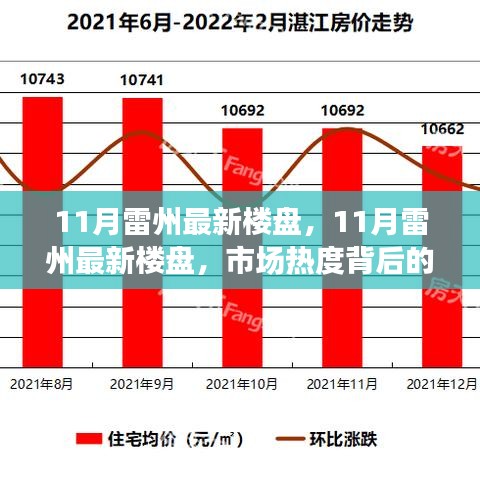 市場(chǎng)熱度背后的深度解讀與個(gè)人立場(chǎng)，11月雷州最新樓盤(pán)觀察