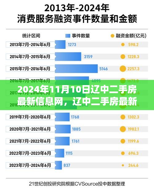 2024年11月10日遼中二手房市場(chǎng)最新動(dòng)態(tài)，樓市變遷與影響深度解析