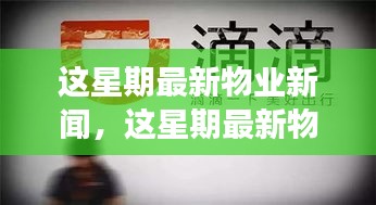 最新物業(yè)新聞一周概覽，全面解讀物業(yè)領(lǐng)域最新動態(tài)