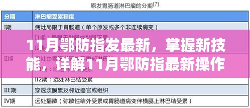 11月鄂防指最新操作流程步驟指南，掌握新技能的詳解