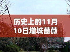 歷史上的11月10日增城薔薇國際房價(jià)揭秘，最新價(jià)格一覽表！