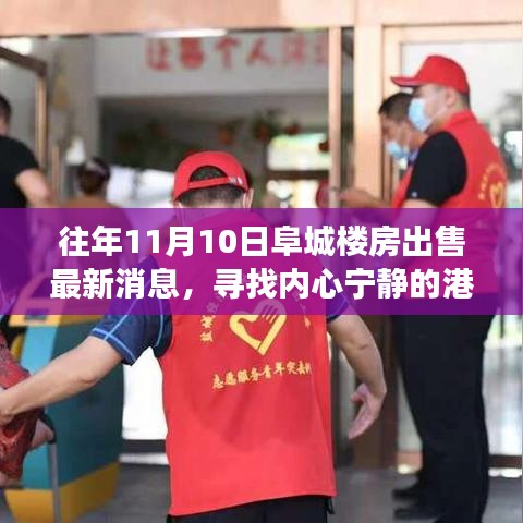 阜城樓房最新出售消息，尋找心靈寧?kù)o的自然探索之旅