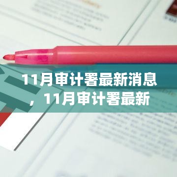 11月審計署最新消息深度解析與觀點(diǎn)闡述