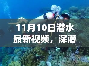 揭秘深潛新紀(jì)元，潛水最新視頻的時代意義與影響（11月10日更新）