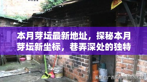 探秘本月芽壇新坐標(biāo)，巷弄深處的獨(dú)特小店最新地址揭秘