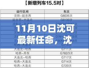 沈可新任命的背后，背景、影響與時代地位分析（最新更新）