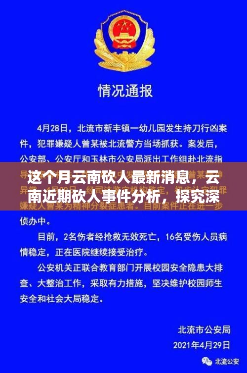 云南砍人事件最新消息，深層原因探究與各方觀點分析