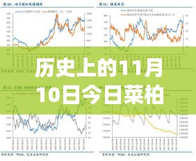 歷史上的11月10日，菜柏價(jià)格背后的勵(lì)志故事與最新行情，自信成就感的源泉