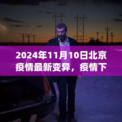 北京疫情最新變異下的溫情與友情日常，2024年11月10日最新觀察