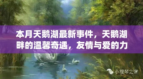 本月天鵝湖畔的溫馨奇遇，友情與愛的力量的展現(xiàn)