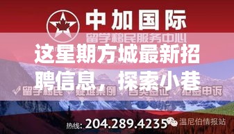 方城最新招聘信息揭秘，小巷秘境與獨(dú)特小店之旅