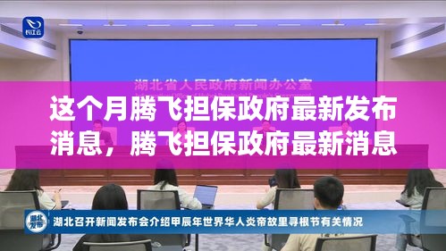 騰飛擔(dān)保政府最新消息解讀與操作指南，初學(xué)者與進(jìn)階用戶必讀指南