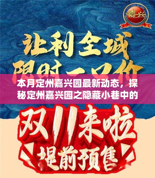 本月定州嘉興園最新動(dòng)態(tài)，探秘隱藏小巷的獨(dú)特風(fēng)味——新鮮打卡指南