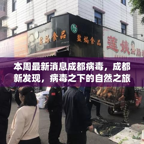 成都病毒新發(fā)現(xiàn)，自然之旅中的心靈港灣探尋