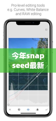 Snapseed最新版下載，回顧發(fā)展歷程，時代印記下的影響與地位