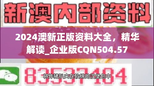 2024澳新正版資料大全，精華解讀_企業(yè)版CQN504.57