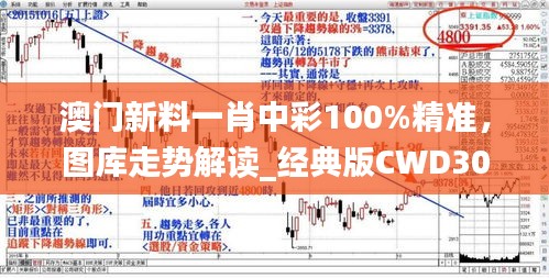 澳門新料一肖中彩100%精準，圖庫走勢解讀_經(jīng)典版CWD305.61