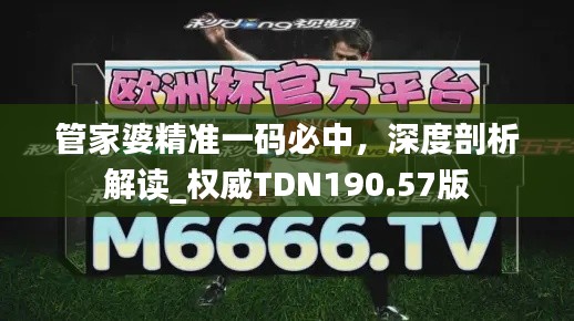 管家婆精準一碼必中，深度剖析解讀_權威TDN190.57版