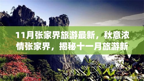 揭秘十一月張家界秋意濃情，最新旅游指南開啟新篇章