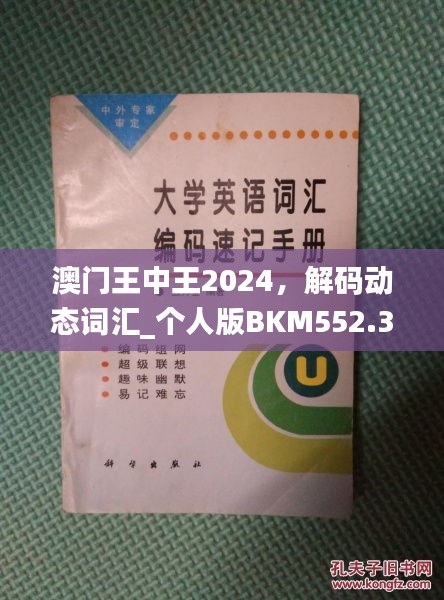 澳門王中王2024，解碼動態(tài)詞匯_個人版BKM552.33指南