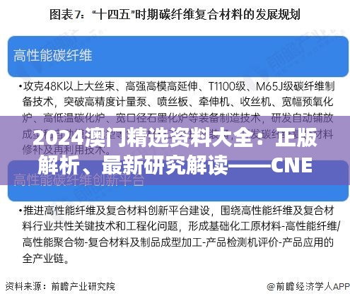 2024澳門精選資料大全：正版解析、最新研究解讀——CNE350.58可變版