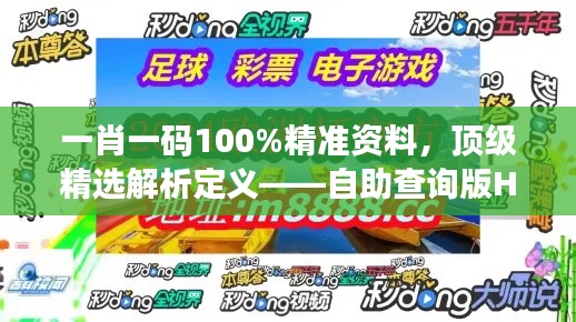 一肖一碼100%精準資料，頂級精選解析定義——自助查詢版HOU688.73