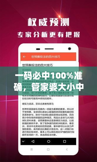 一碼必中100%準確，管家婆大小中特解析，戶外版ZNA113.77深度剖析