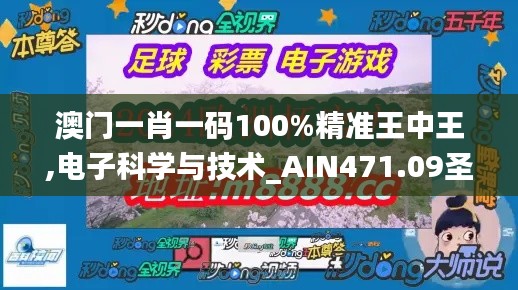 澳門一肖一碼100%精準(zhǔn)王中王,電子科學(xué)與技術(shù)_AIN471.09圣皇