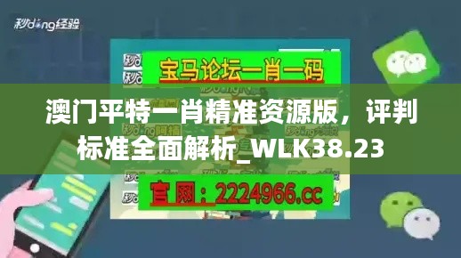 澳門平特一肖精準資源版，評判標準全面解析_WLK38.23