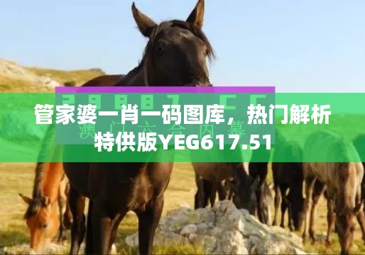 管家婆一肖一碼圖庫，熱門解析特供版YEG617.51